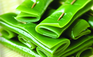 长寿健康 男人就吃五种美食