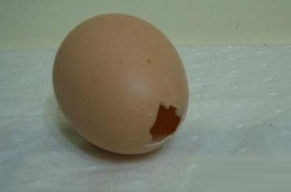 鸡蛋壳有什么用处?盘点鸡蛋壳的妙用