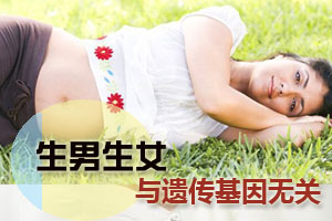 生男生女与遗传基因无关