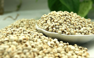 立秋后薏仁入菜吃出男人健康