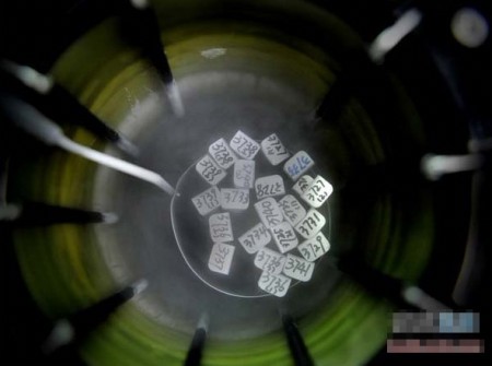 多图！实拍试管婴儿全过程