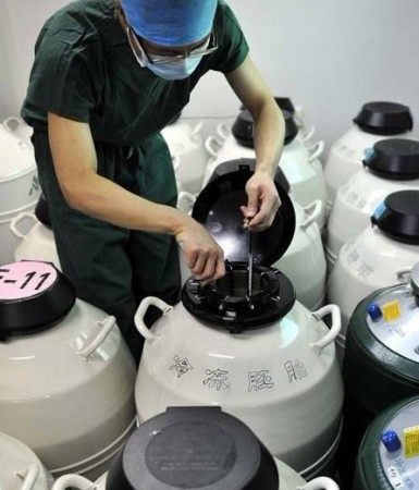 多图！实拍试管婴儿全过程
