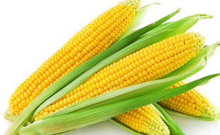 玉米对男人有独一无二的益处