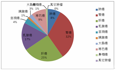 肿瘤患者需求调查报告