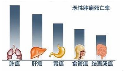 肿瘤患者家属需求调查报告 五成肿瘤家属会考虑海外就医