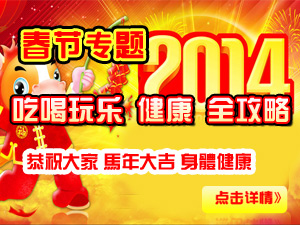 2014年春节专题