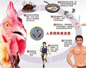 广东首例感染禽流感死亡病例出现 广东首例感染禽流感死亡病例出现广东首例感染禽流感死亡病例出现