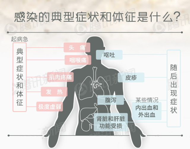 埃博拉病毒的全面解析（12图解）