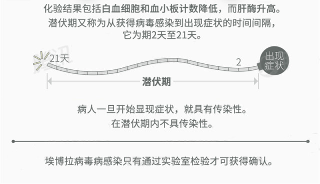 埃博拉病毒的全面解析（12图解）