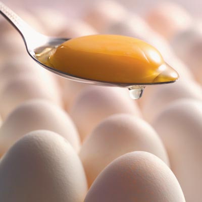 每天吃一个鸡蛋 不会有心血管病风险每天吃一个鸡蛋 不会有心血管病风险