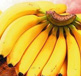 香蕉艾滋病全球蔓延内幕：揭秘全球变态植物