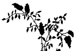 降血压药物用量不同季节需调整