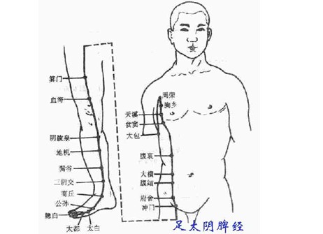 人体全身各部位穴位图示