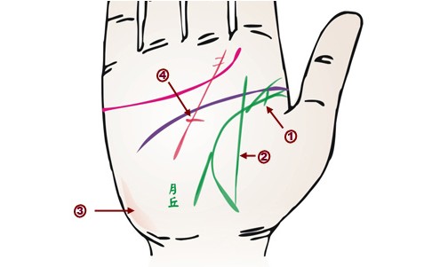 中医教你从手相识健康（上）