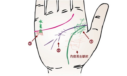 中医教你从手相识健康(下)中医教你从手相识健康