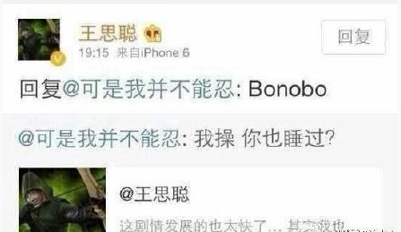 Bonobo：混交的那些事儿Bonobo：混交的那些事儿