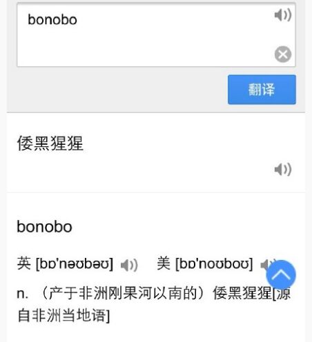 Bonobo：混交的那些事儿Bonobo：混交的那些事儿