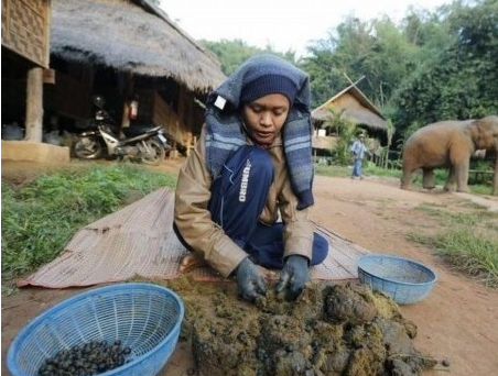 盘点世界各地奇葩的变态食物盘点世界各地奇葩的变态食物