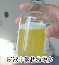 哪些情况不能通过兵检