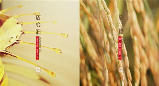 恒大粮油独家冠名中国最大天然有机食品展