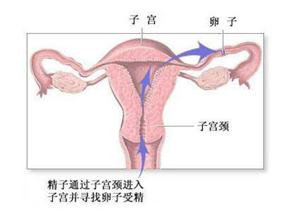 全面目击女人避孕全过程全面目击女人避孕全过程