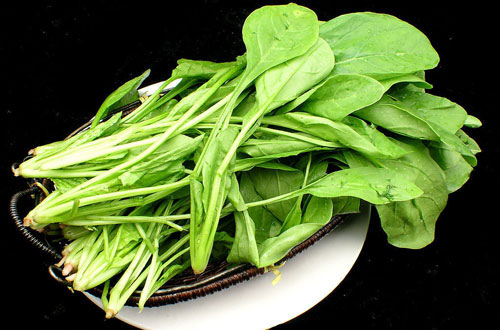 有利于心脑血管的九种食物菠菜4.jpg