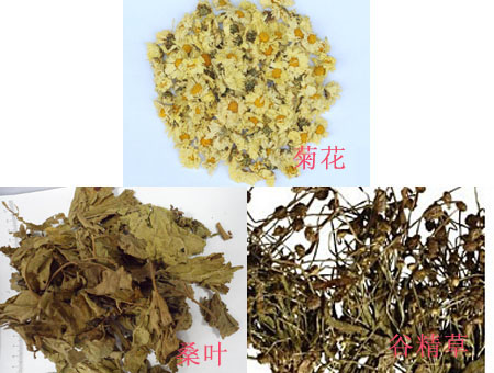 自制四款明目药茶药茶2.jpg