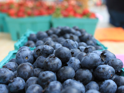 说说莓果的养生功效说说莓果的养生功效蓝莓2.jpg