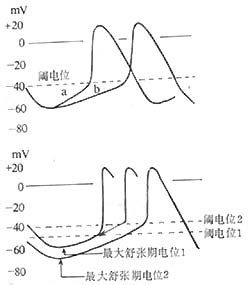 心率失常